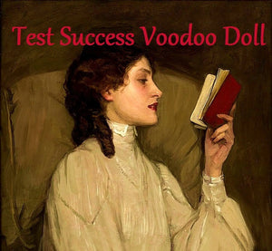 Test Success Voodoo Doll