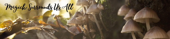 Magick Surrounds Us All