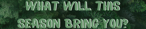 What Will This Season Bring You?