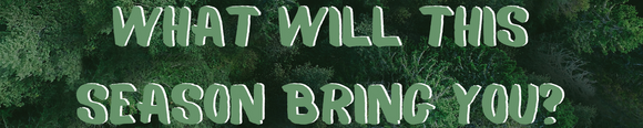 What Will This Season Bring You?