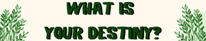 What is your destiny?