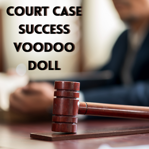 Court Case Success Voodoo Doll