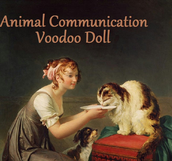 Animal Communication Voodoo Doll