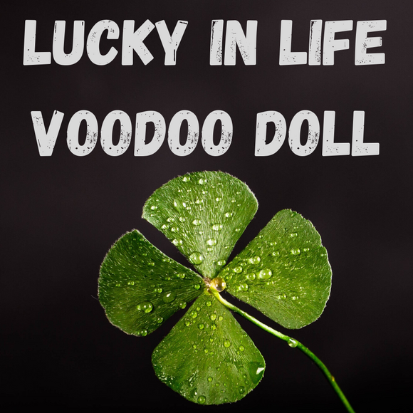 Lucky In Life Voodoo Doll