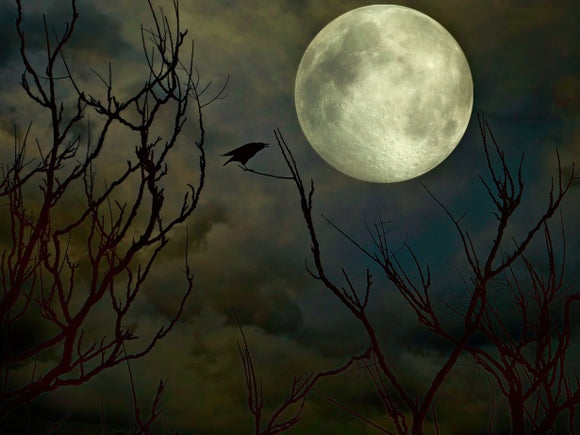Full Moon & Friday The 13th Casting